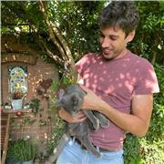 Laureando in ingegneria informatica offre ripetizioni (anche online) di matematica, fisica e inglese